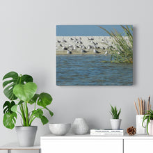 Load image into Gallery viewer, Sea Birds After The Rain